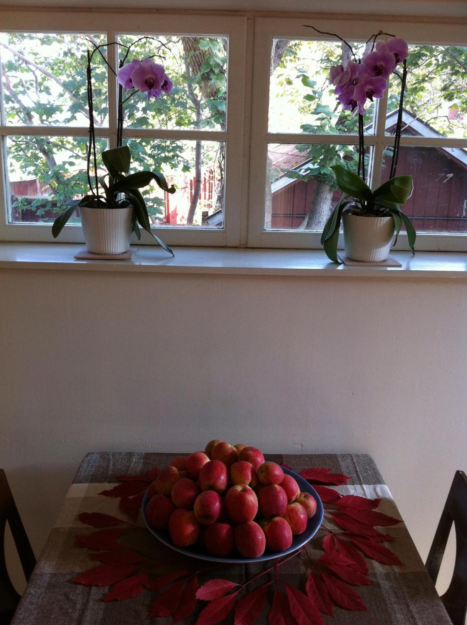 Stockholm B&B Cottage Nacka Habitación foto
