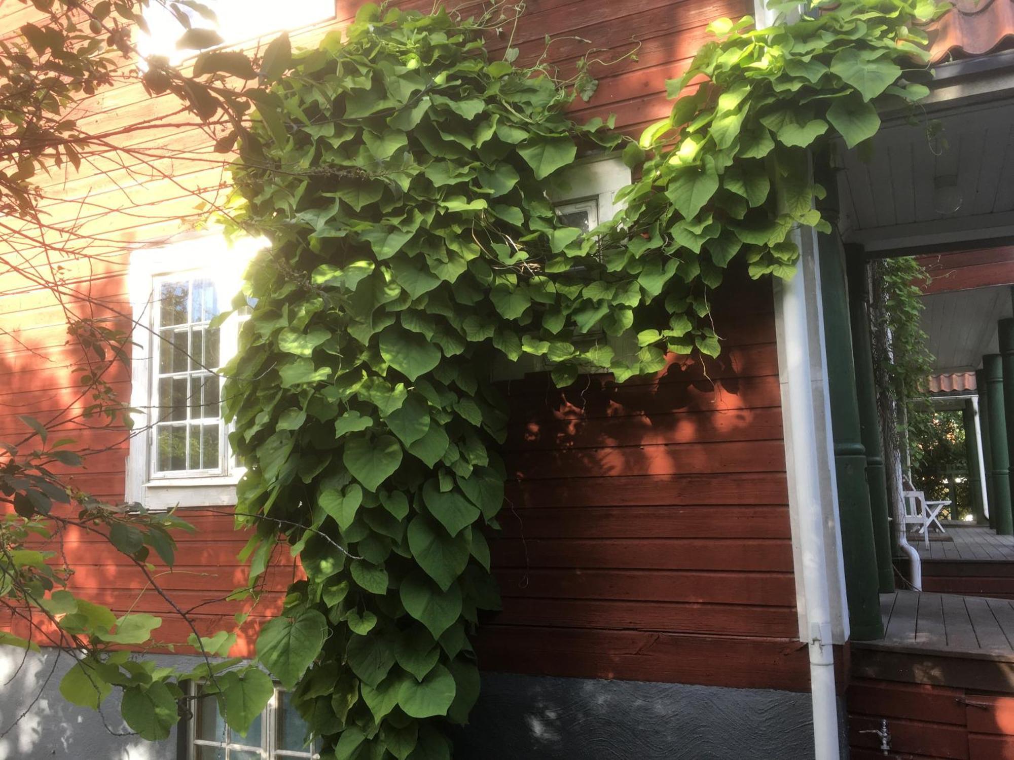 Stockholm B&B Cottage Nacka Habitación foto